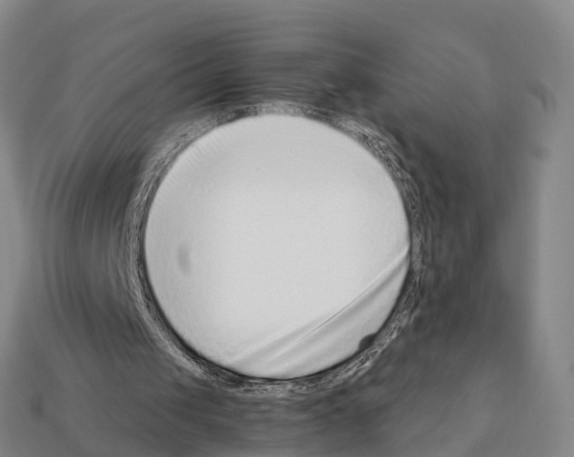 X0000111920049200909071226