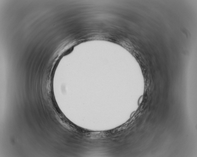 X0000111920050200909071226