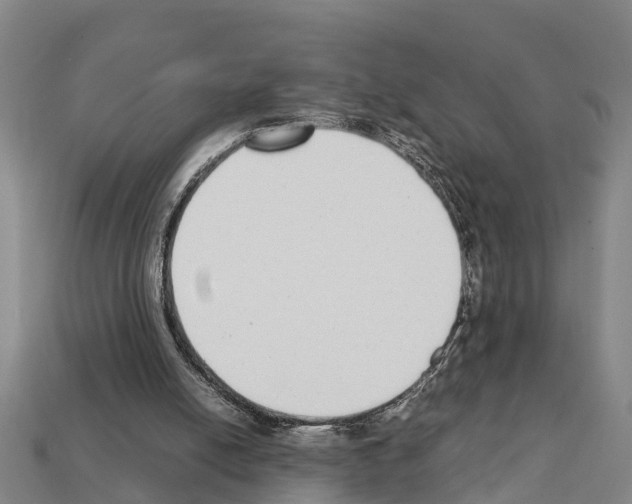 X0000111920054200909071226