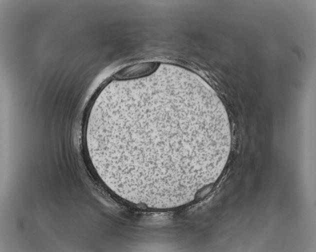 X0000111920056200909071226