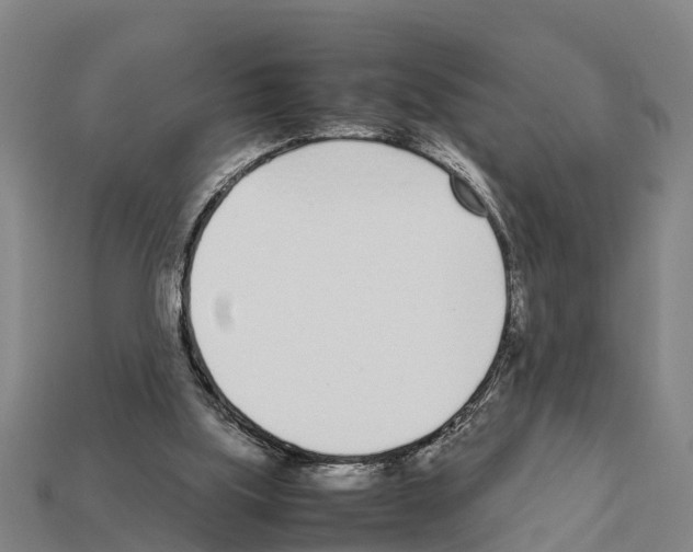 X0000111920059200909071226