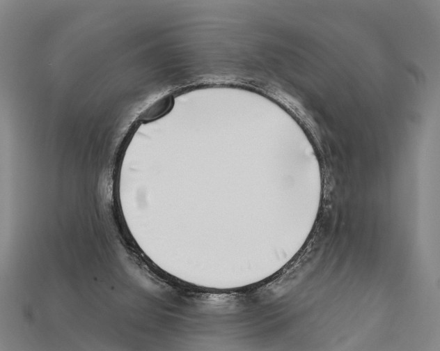 X0000111920060200909071226