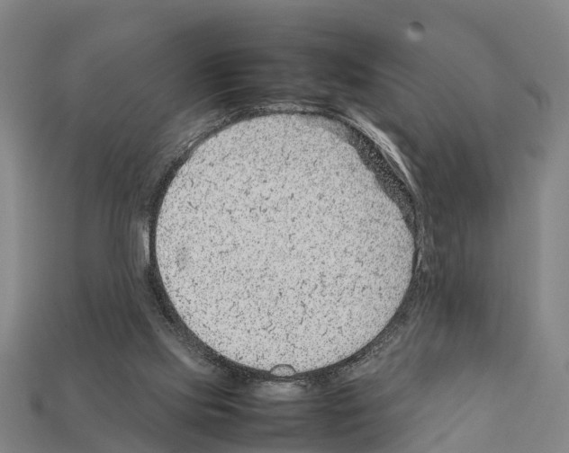 X0000111920061200909071226