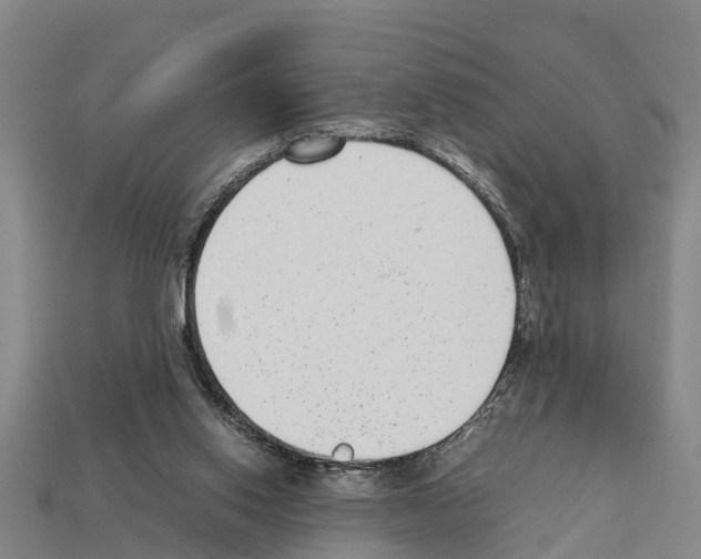 X0000111920062200909071226