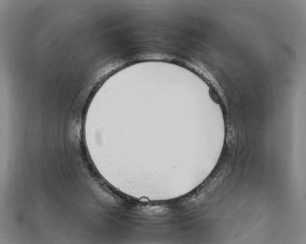 X0000111920063200909071226