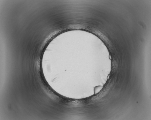 X0000111920064200909071226