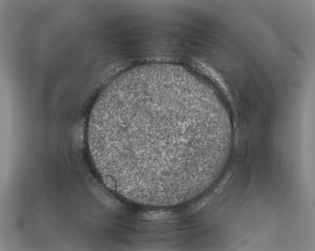 X0000111920065200909071226