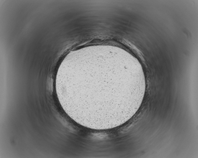 X0000111920067200909071226