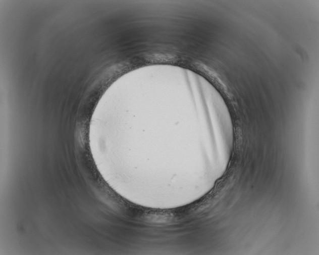 X0000111920069200909071226