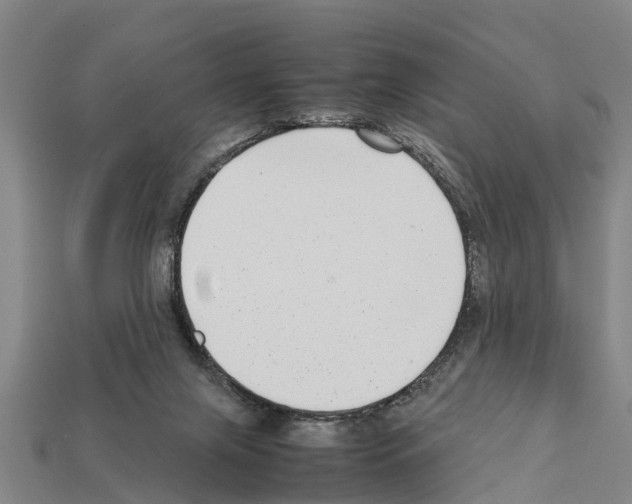 X0000111920071200909071226