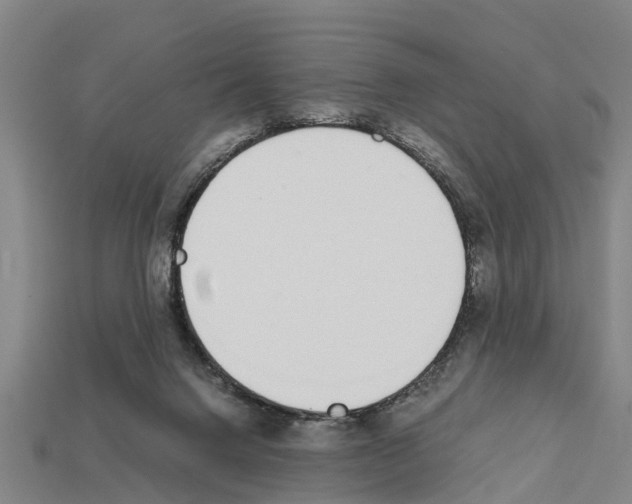 X0000111920072200909071226