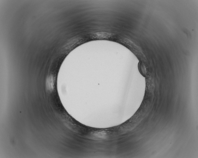 X0000111920075200909071226