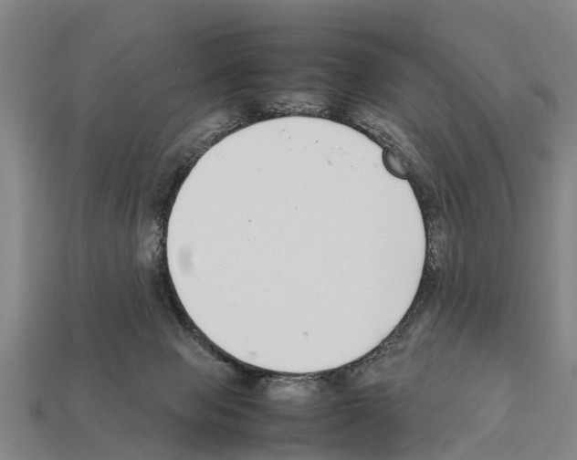 X0000111920077200909071226