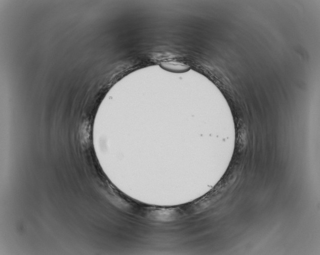 X0000111920081200909071226