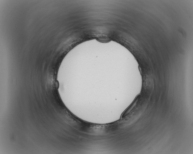 X0000111920084200909071226