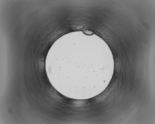 X0000111920085200909071226