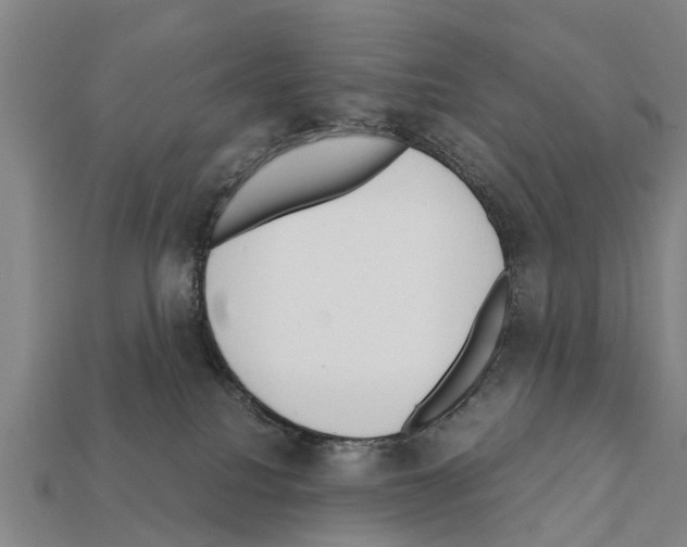 X0000111920088200909071226