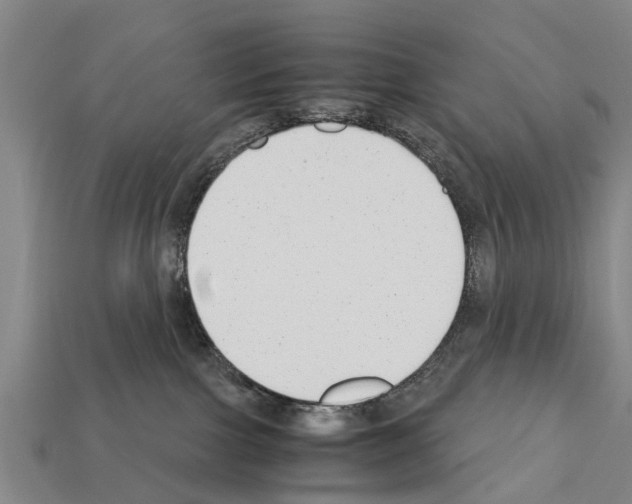 X0000111920091200909071226