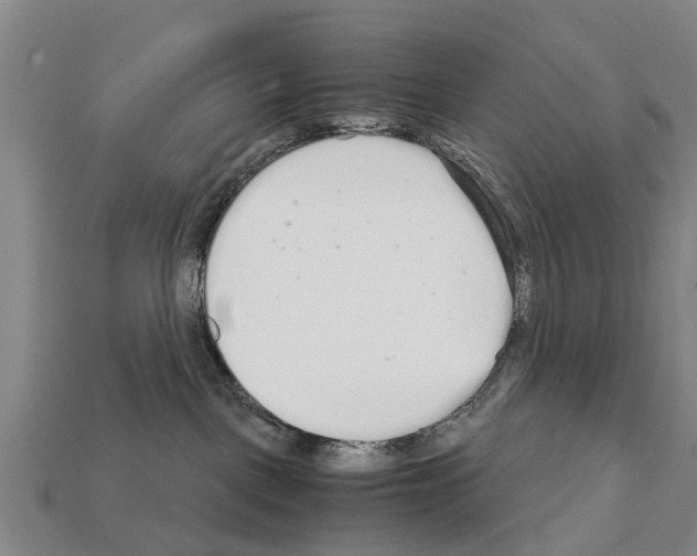 X0000111920093200909071226