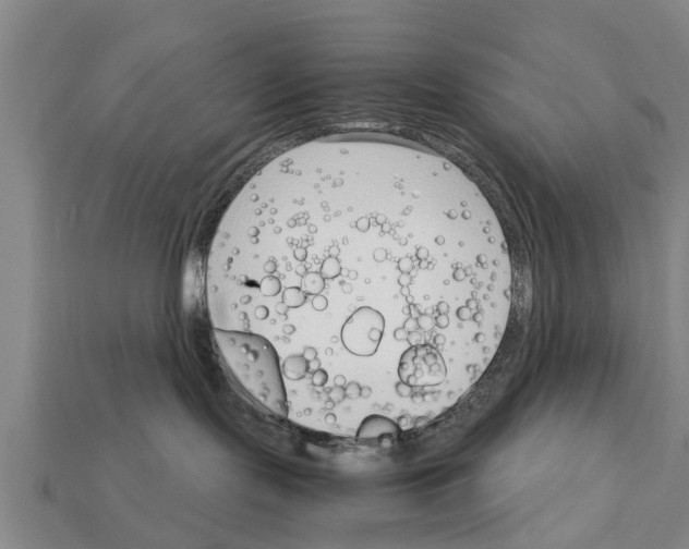 X0000111920095200909071226