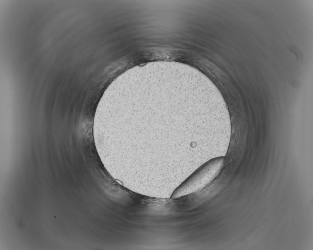 X0000111920096200909071226