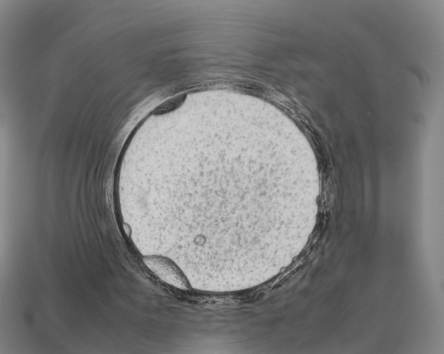 X0000111920099200909071226