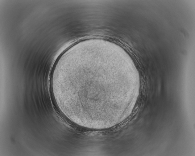 X0000111920100200909071226