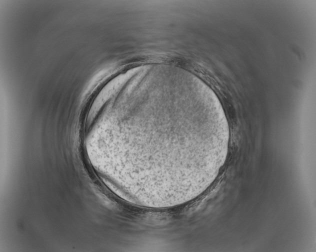 X0000111920101200909071226