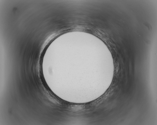 X0000111920102200909071226