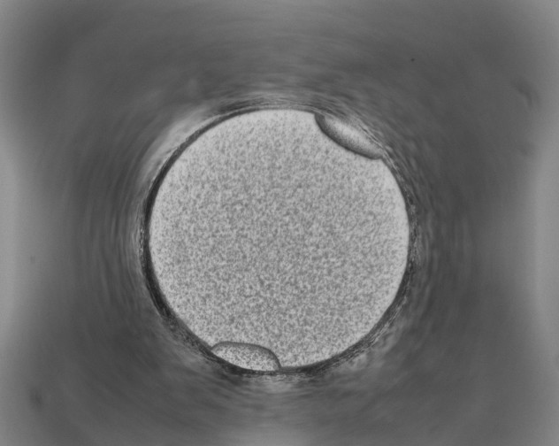 X0000111920103200909071226