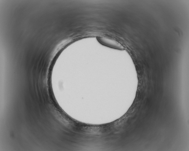 X0000111920104200909071226