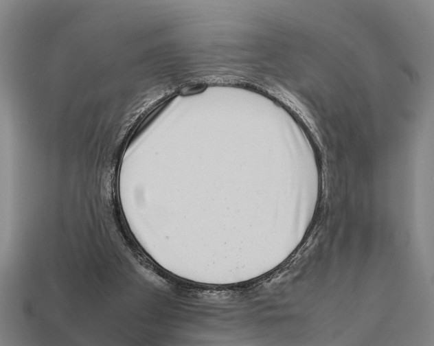 X0000111920105200909071226