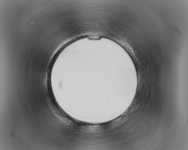 X0000111920108200909071225