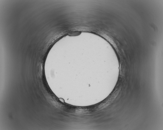 X0000111920109200909071225