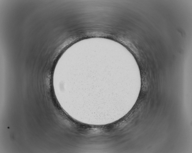 X0000111920111200909071225