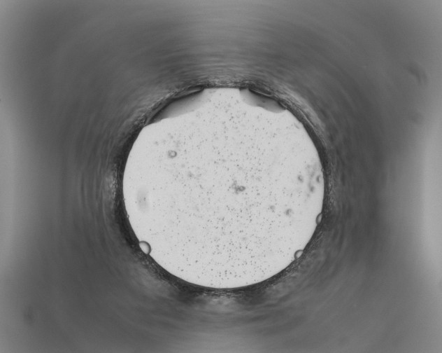 X0000111920113200909071225