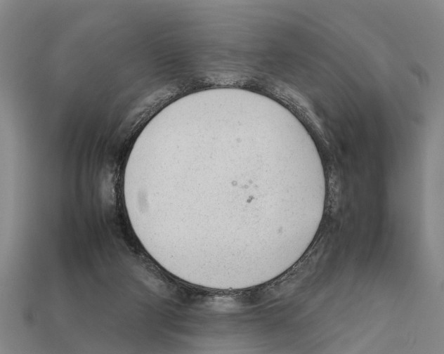 X0000111920114200909071225