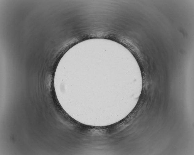 X0000111920115200909071225