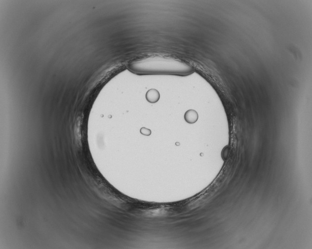 X0000111920116200909071225