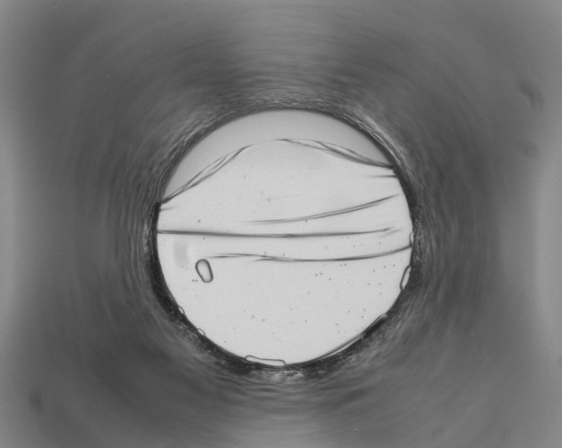 X0000111920117200909071225