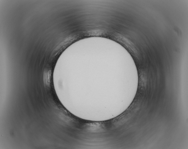 X0000111920118200909071225