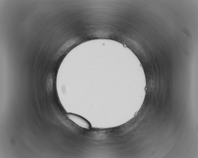 X0000111920120200909071225