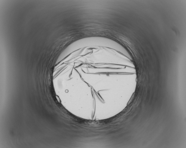 X0000111920121200909071225