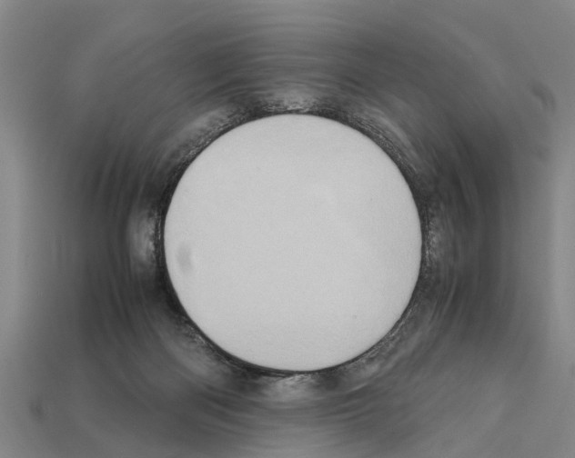 X0000111920122200909071225