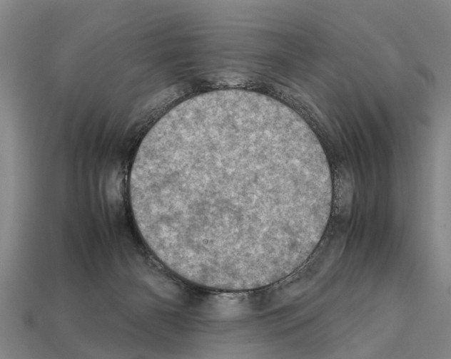 X0000111920126200909071225