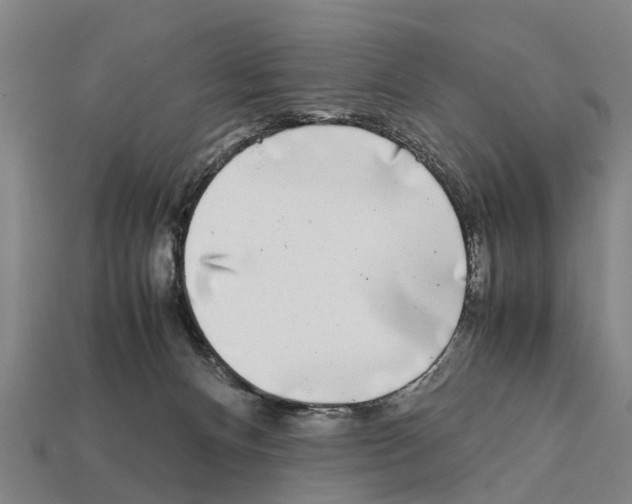 X0000111920128200909071225