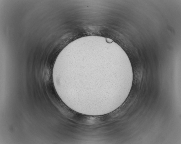 X0000111920130200909071225