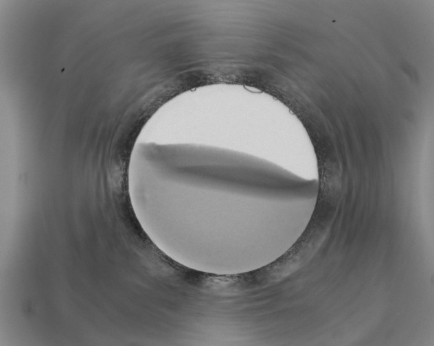 X0000111920139200909071225