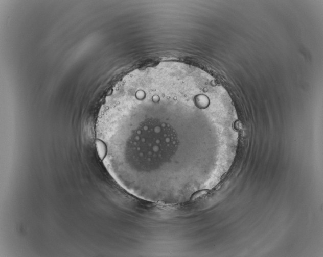 X0000111920143200909071225