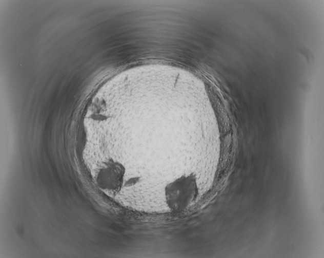 X0000111920145200909071224